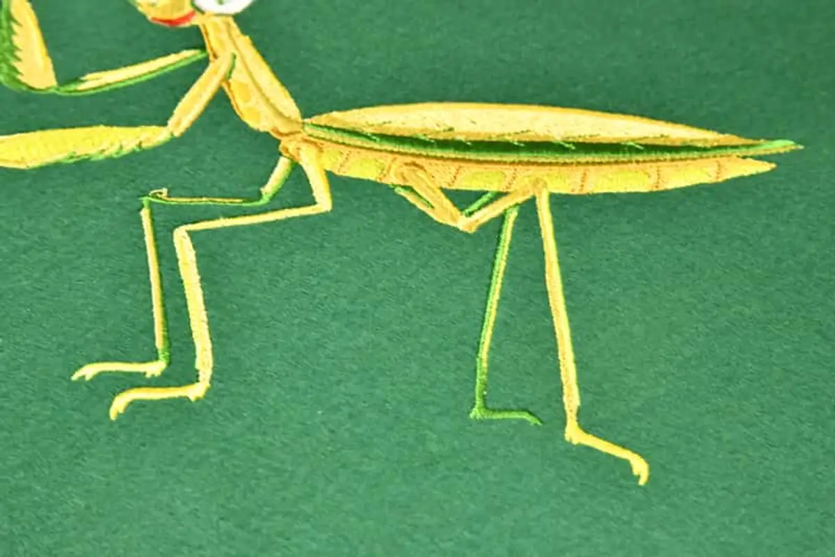 Gottesanbeterin gelb Stick – Bild 4