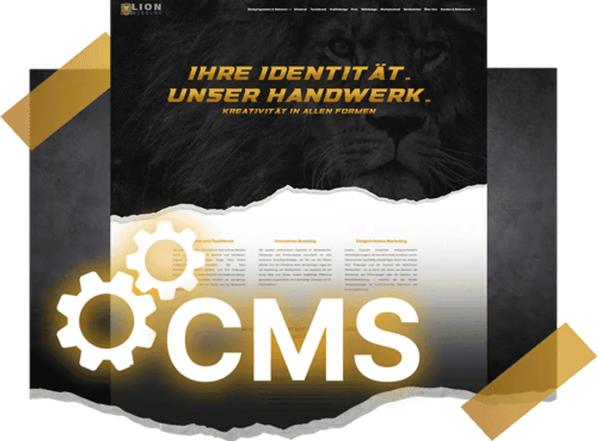 Content Management Systeme (CMS) | Lion Werbe GmbH