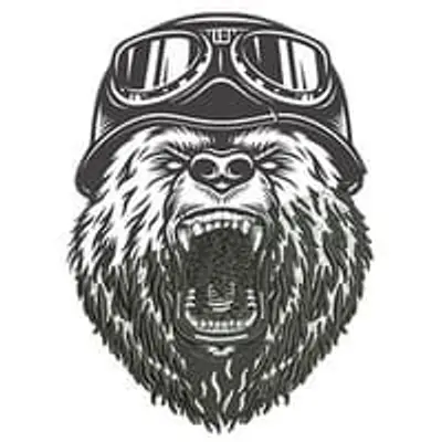 roaringbikerbaer