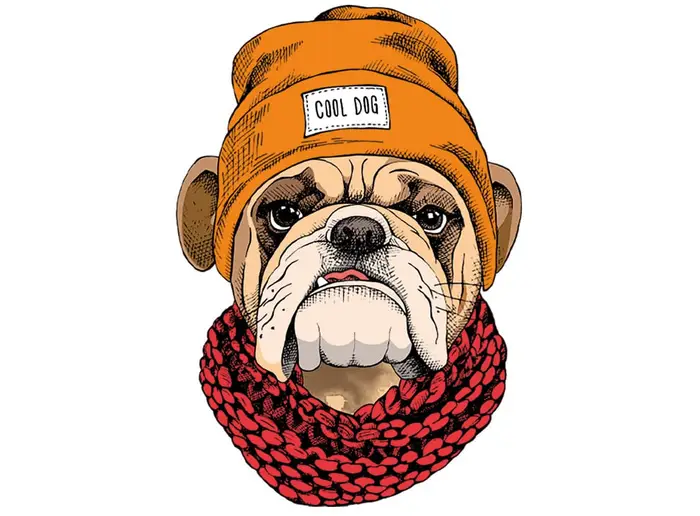 cooldog – Originalversion