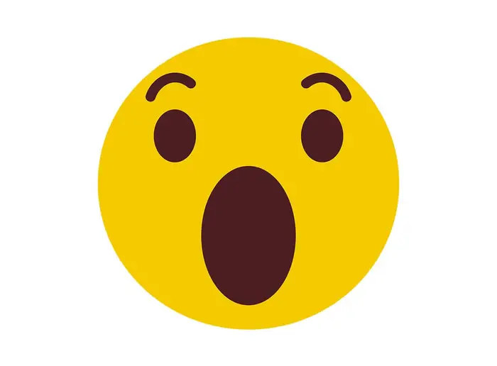 iconerstauntesgesicht – Originalversion