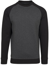 Raglan Crewneck (Hover)