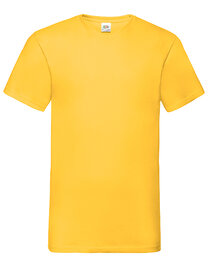 Valueweight V-Neck T (Hover)