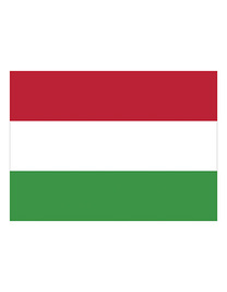 Fahne Ungarn