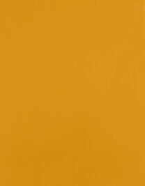 CAD-CUT® SportsFilm (Hover)