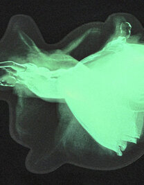 CAD-COLOR® Glow In The Dark