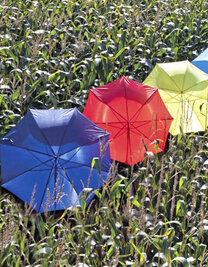 Stockschirm Automatik Holzgriff