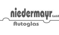 Niedermayr Autoglas grey